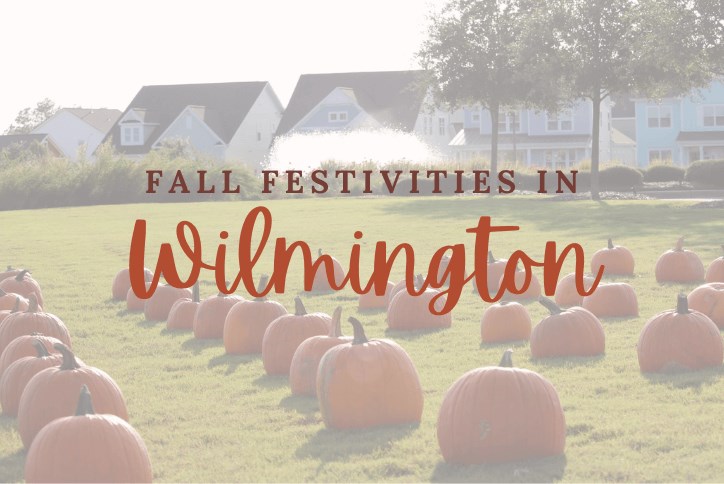 Fun Things To Do In Wilmington, NC and Surrounding Areas This Fall and  Halloween