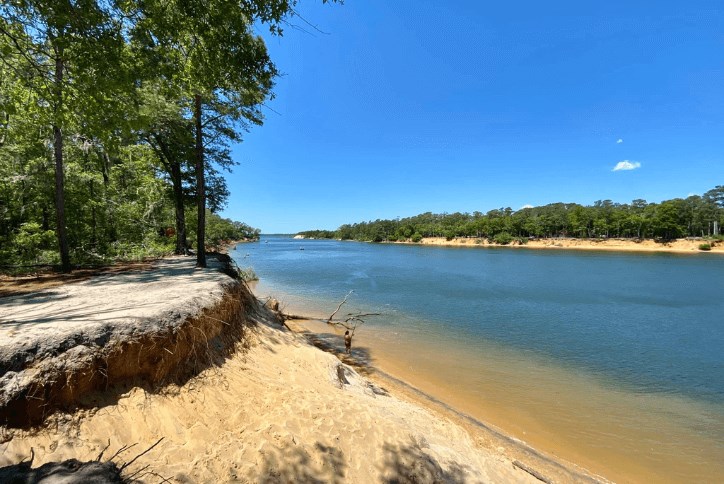 Carolina Beach State Park